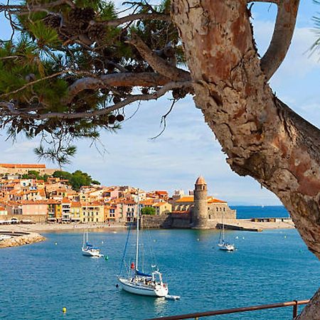 Appartement 4 Couchages A Argeles Plage, Proche Mer Et Commodites - Fr-1-732-62 Εξωτερικό φωτογραφία