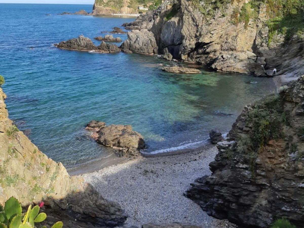 Appartement 4 Couchages A Argeles Plage, Proche Mer Et Commodites - Fr-1-732-62 Εξωτερικό φωτογραφία